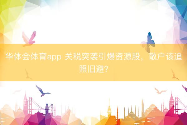 华体会体育app 关税突袭引爆资源股，散户该追照旧避？