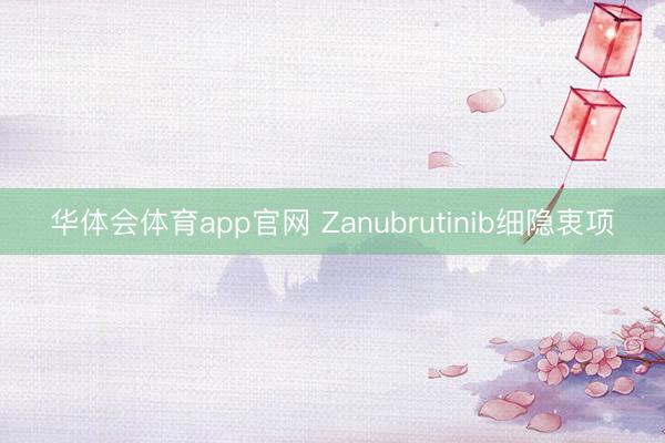 华体会体育app官网 Zanubrutinib细隐衷项